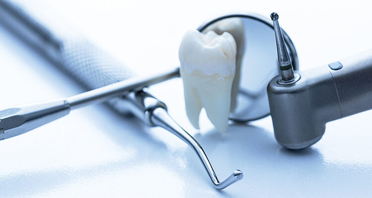  Endodonzia